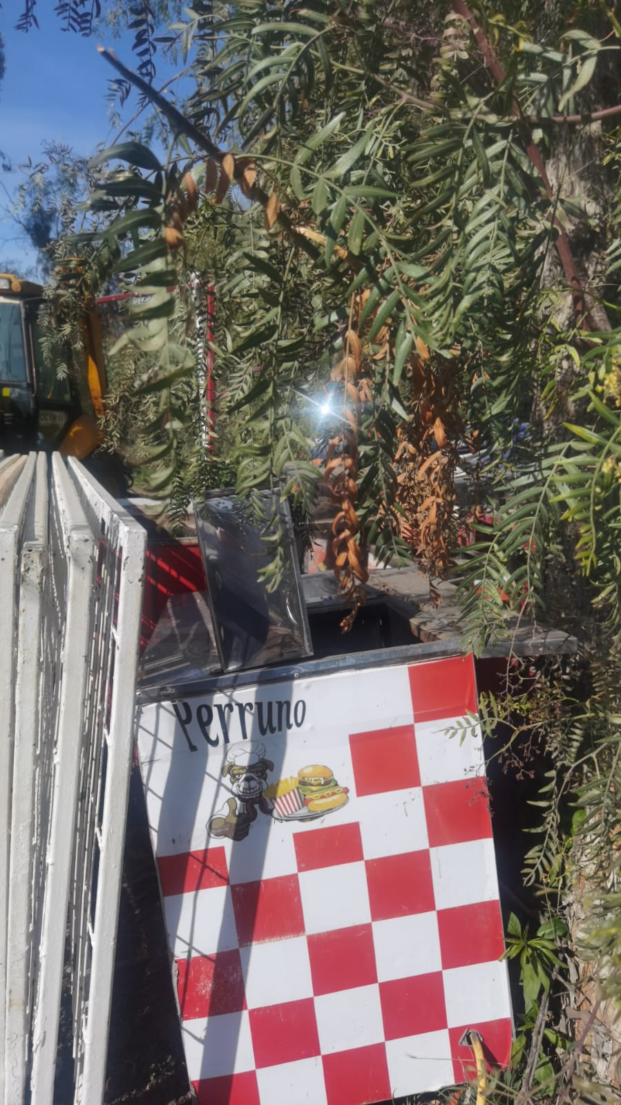 LOTE 191 - Imagen 3