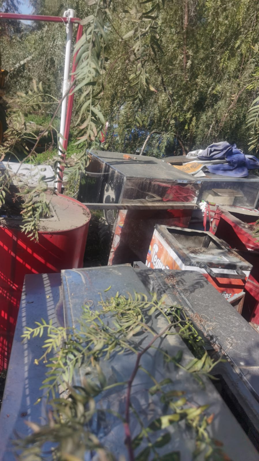 LOTE 191 - Imagen 4