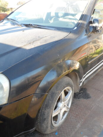 LOTE 100