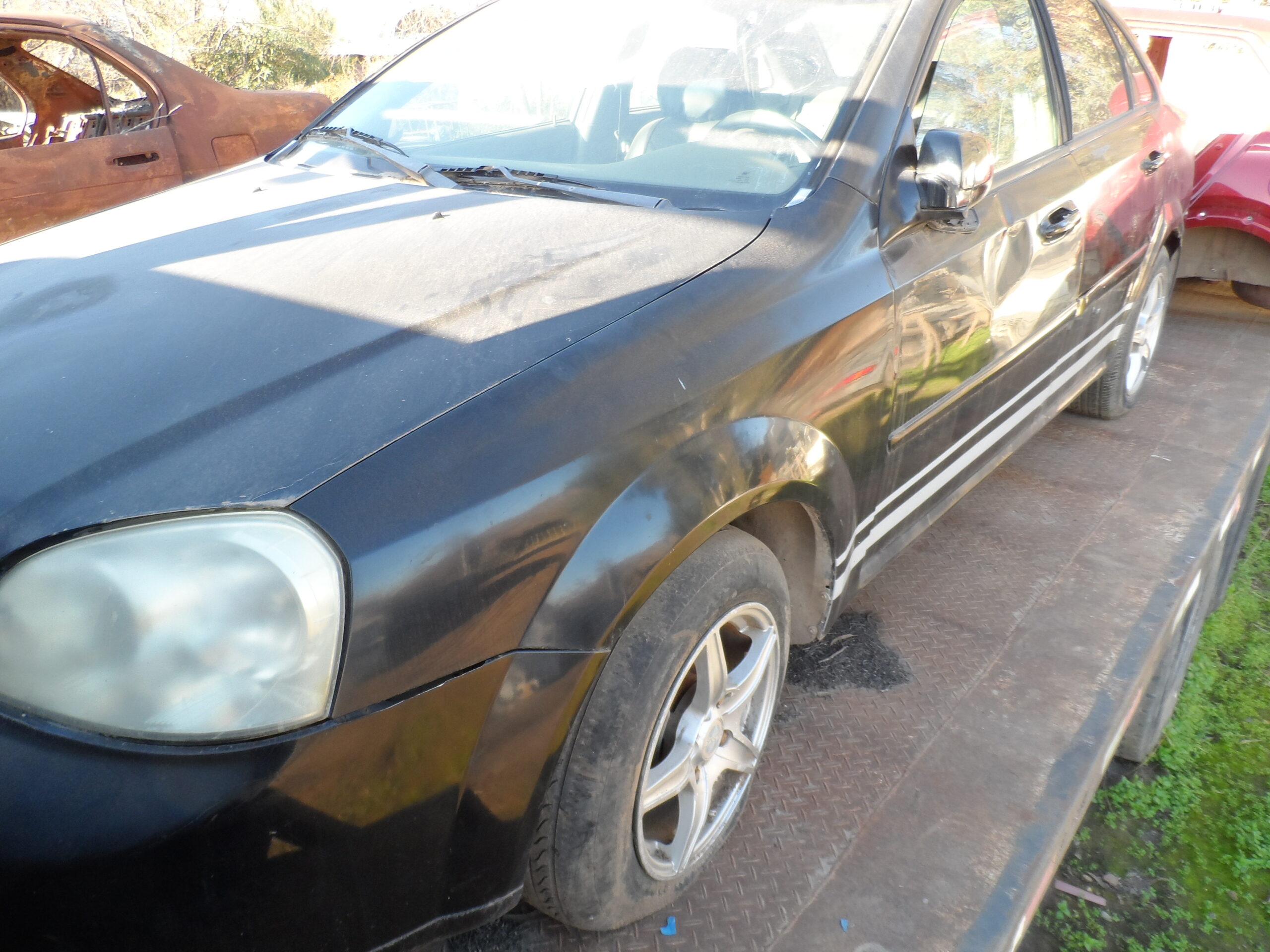LOTE 100