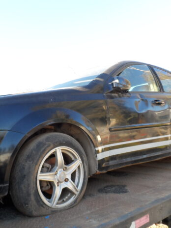 LOTE 100