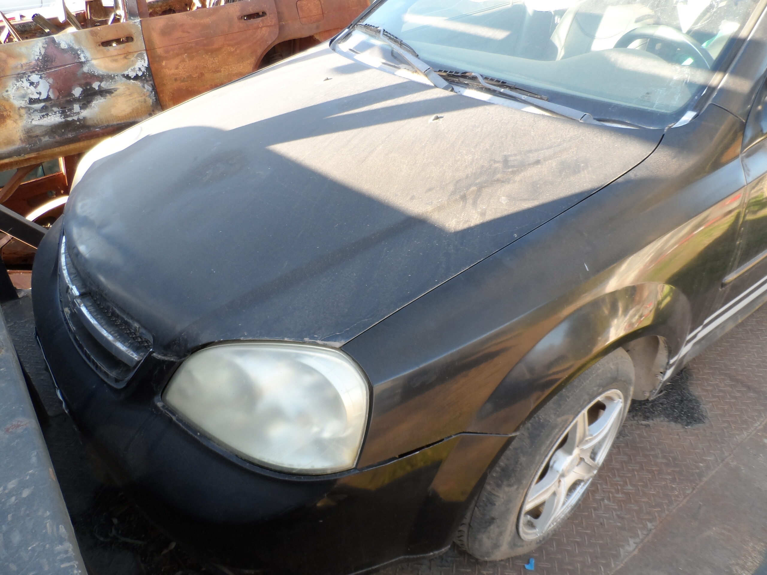 LOTE 100 - Imagen 3
