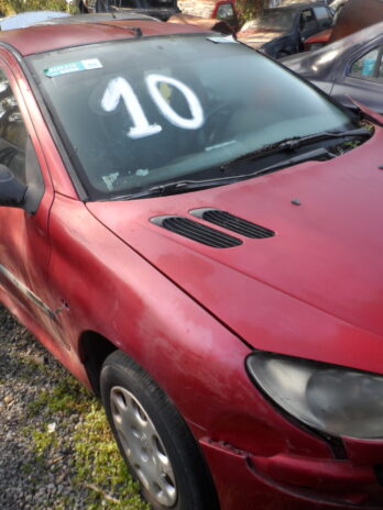 LOTE 10