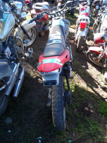 LOTE 104