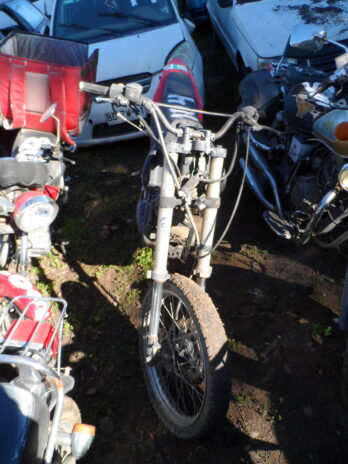LOTE 104