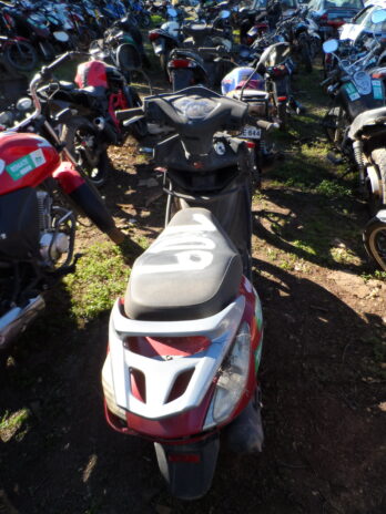 LOTE 109