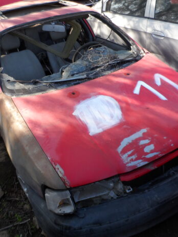LOTE 11