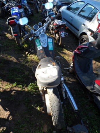 LOTE 113