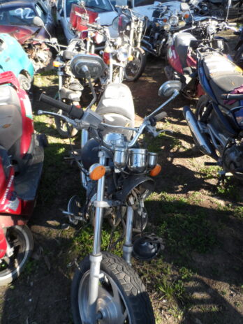 LOTE 113