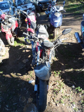 LOTE 115