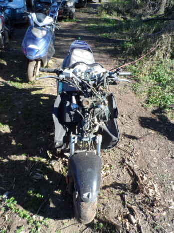 LOTE 116