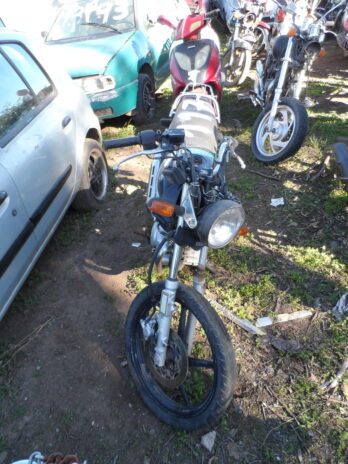 LOTE 117