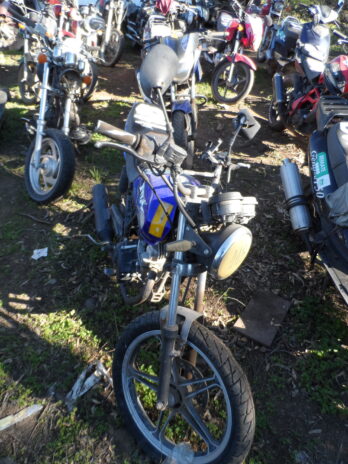 LOTE 118