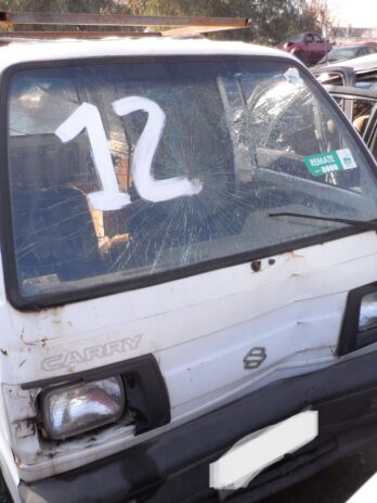 LOTE 12