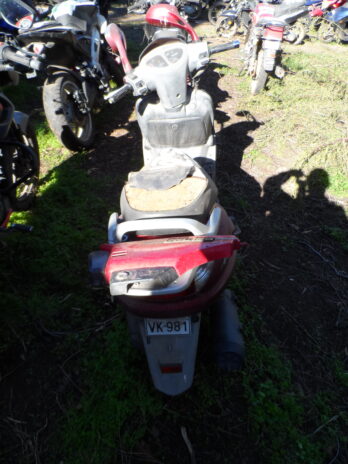 LOTE 123