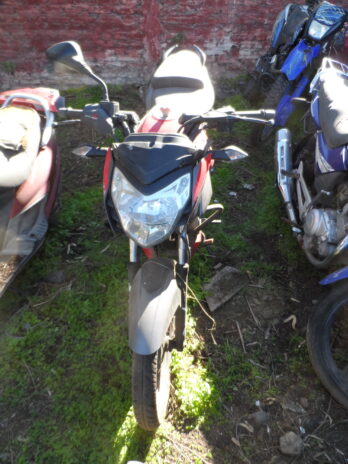 LOTE 126