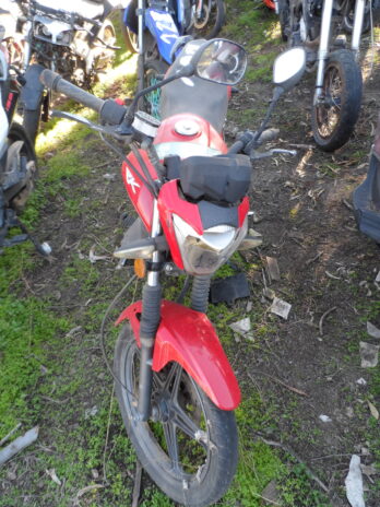 LOTE 127