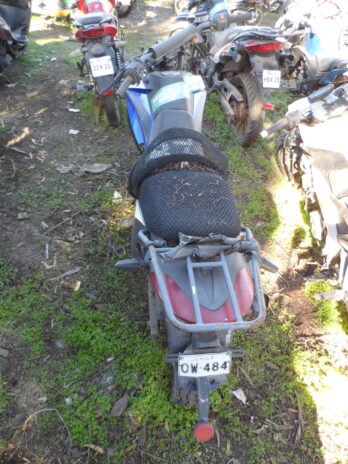 LOTE 128