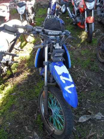 LOTE 128