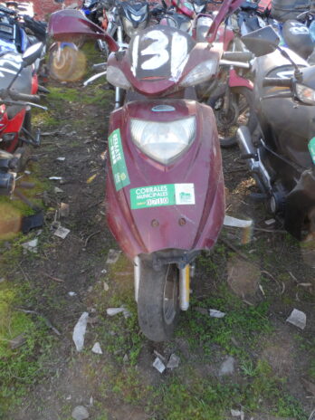 LOTE 130