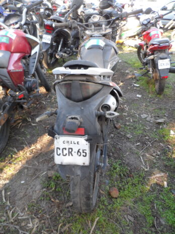 LOTE 131