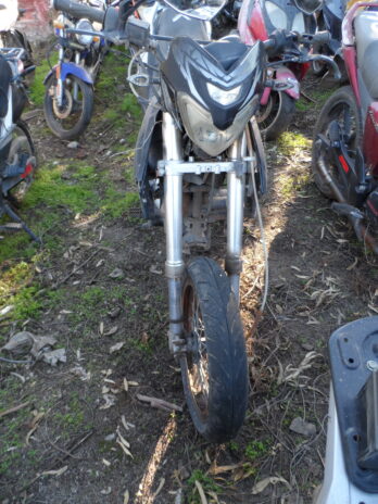LOTE 131