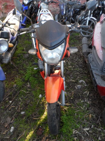 LOTE 132