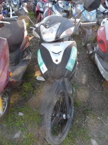 LOTE 133