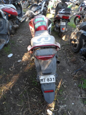 LOTE 134