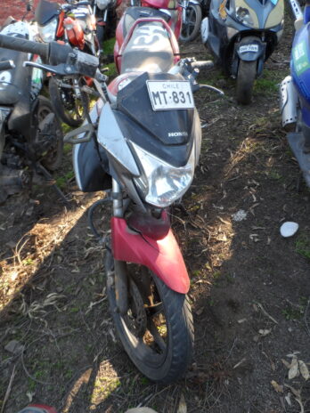 LOTE 134