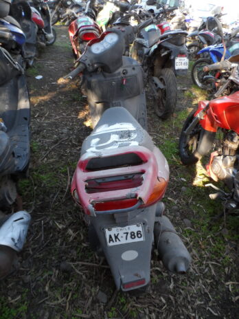 LOTE 135