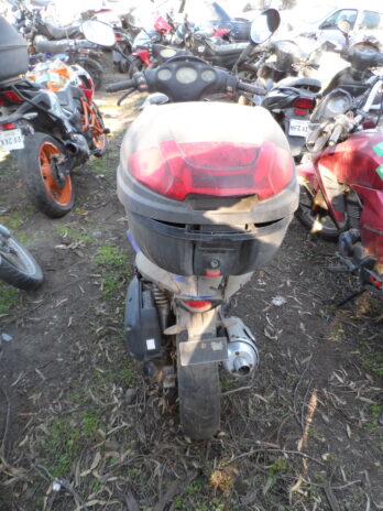 LOTE 137