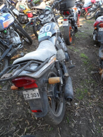 LOTE 140