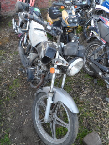 LOTE 140