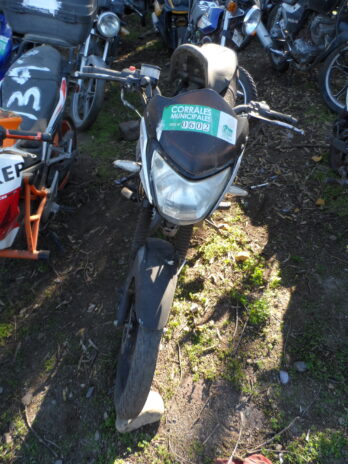 LOTE 142