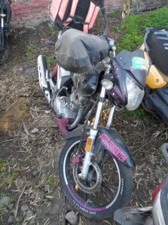 LOTE 141