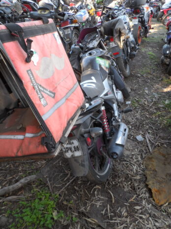 LOTE 141