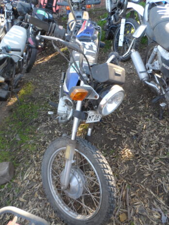 LOTE 143