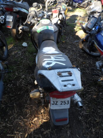 LOTE 146