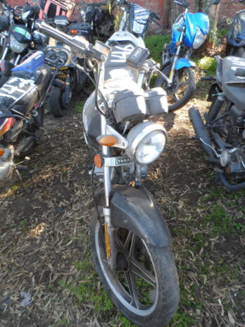 LOTE 146