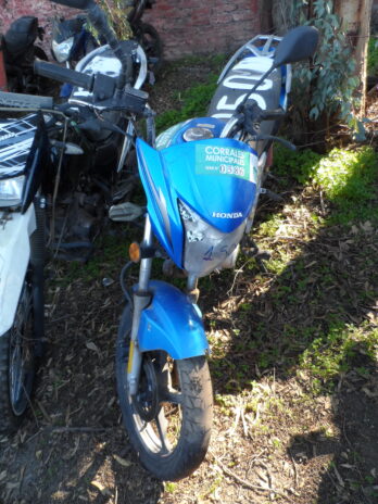 LOTE 150