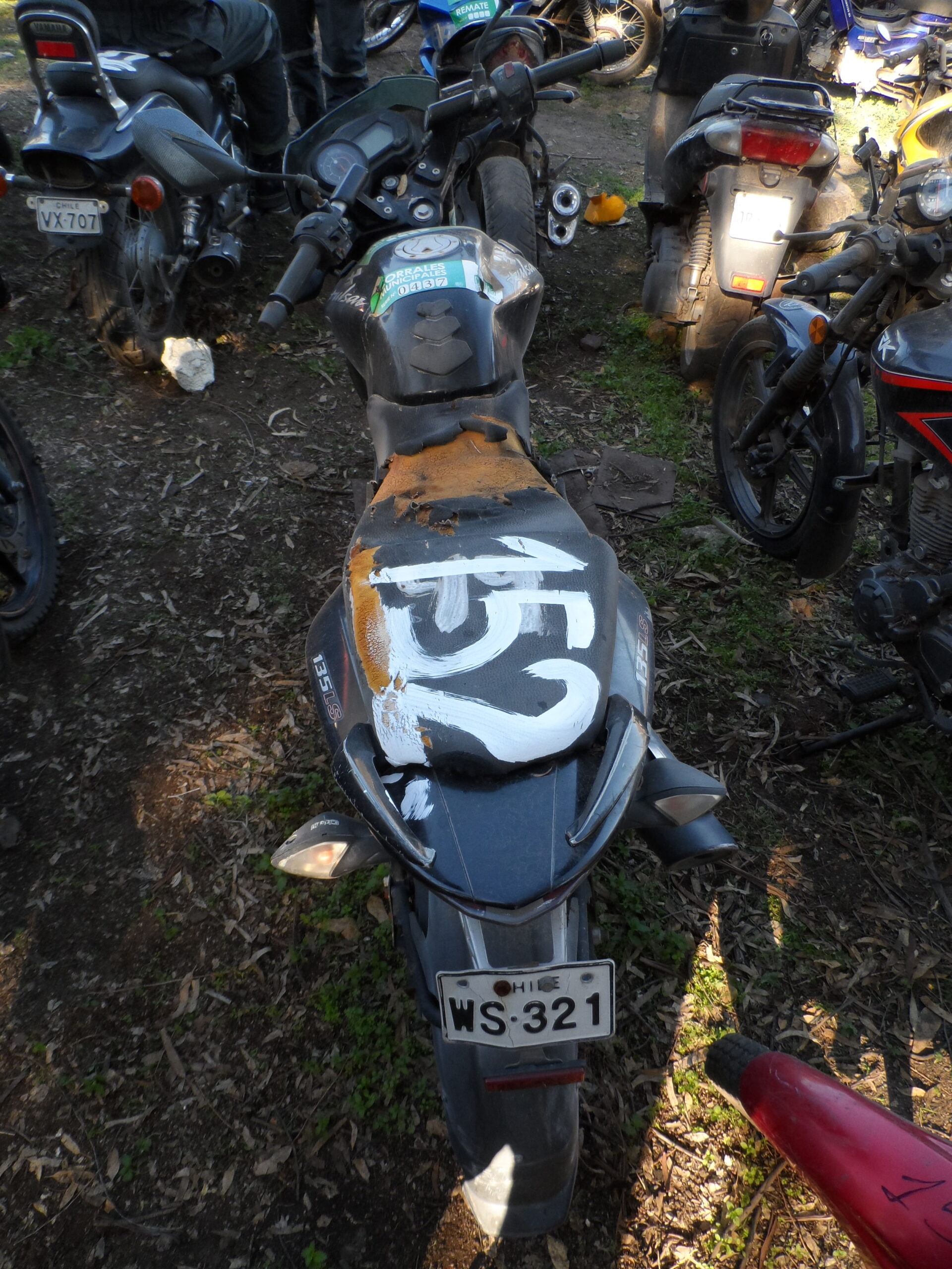 LOTE 152 - Imagen 2
