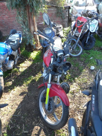 LOTE 153