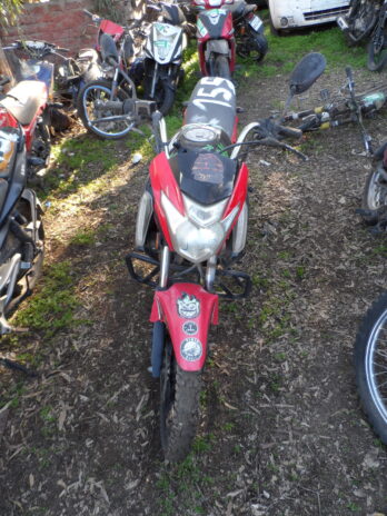 LOTE 155