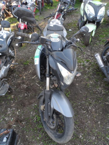 LOTE 156
