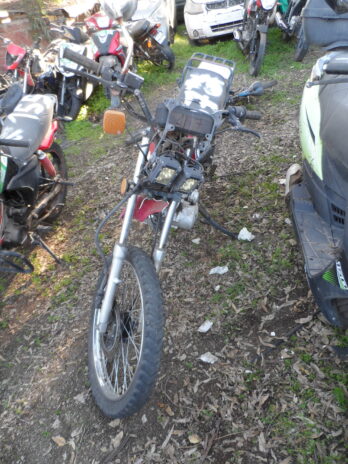 LOTE 157
