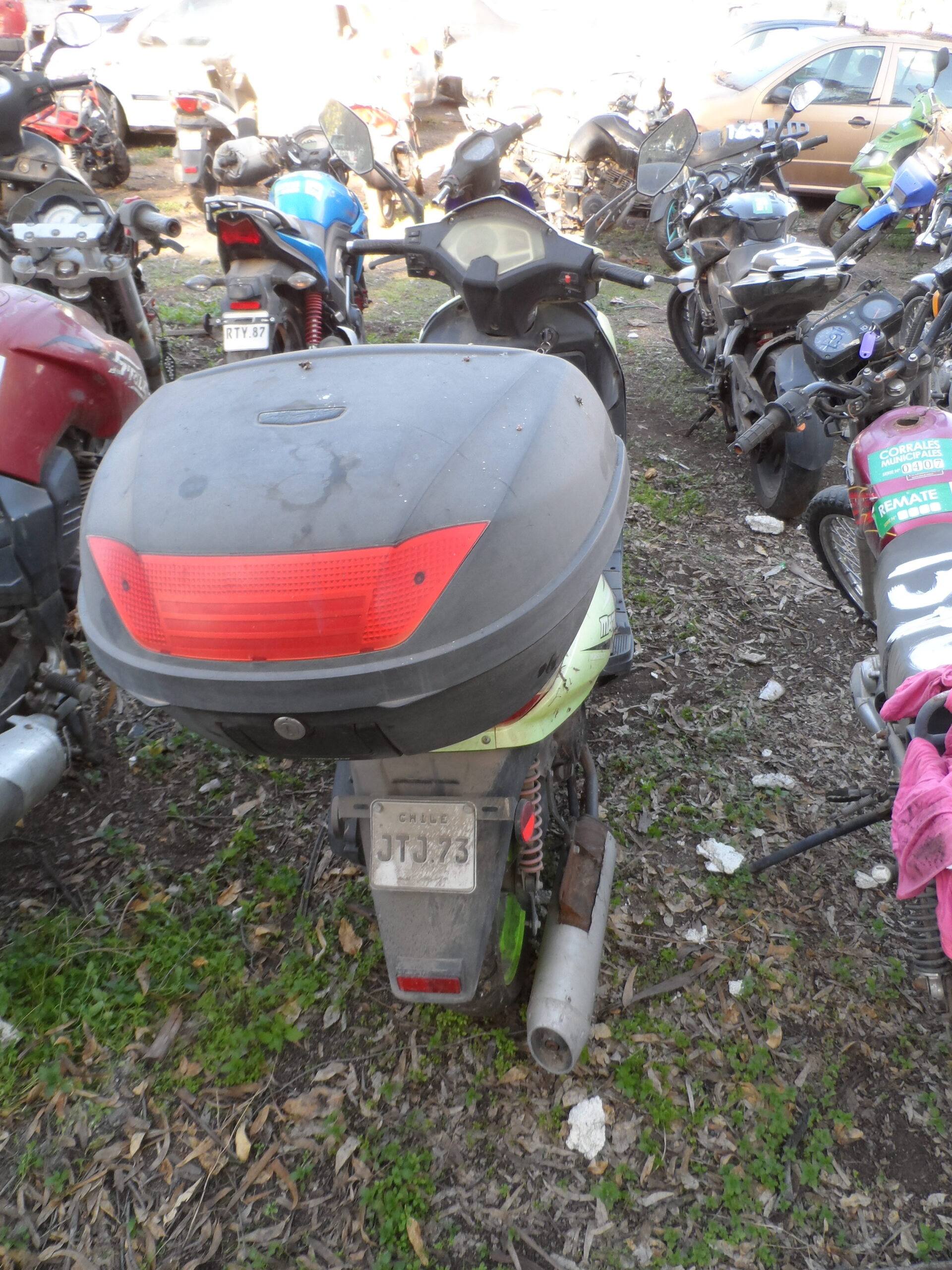 LOTE 159 - Imagen 2