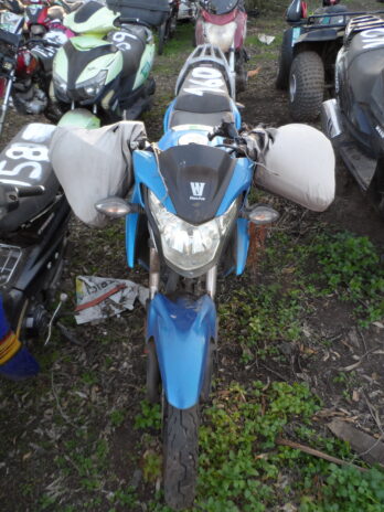 LOTE 160