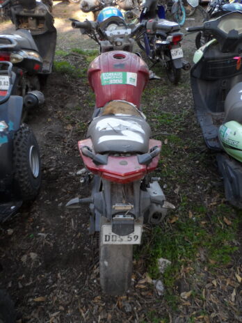 LOTE 161