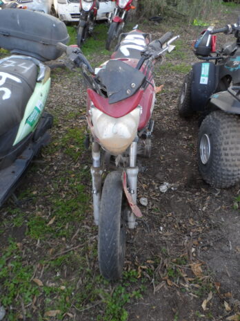 LOTE 161